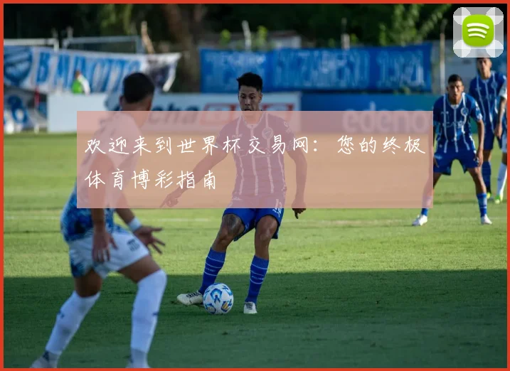 欢迎来到世界杯交易网：您的终极体育博彩指南