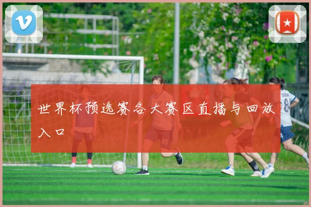 世界杯预选赛各大赛区直播与回放入口
