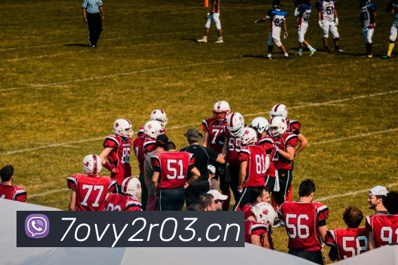 星空体育官网首页平台生态图